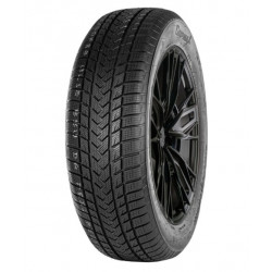 205/50 R17 93V GRIPMAX SUREGRIP EWINTER XL