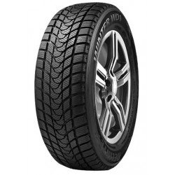 225/55 R17 97T DELINTE Winter WD1